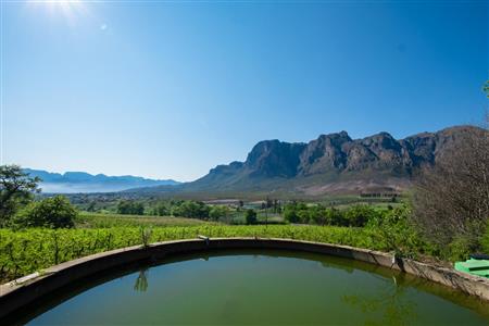 False - Farm For Sale in Stellenbosch Central, Stellenbosch, Western Cape - M15351