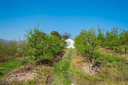 False - Farm For Sale in Stellenbosch Central, Stellenbosch, Western Cape - M15351