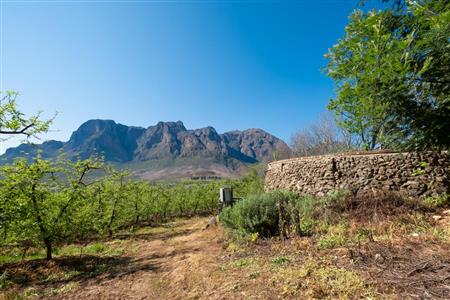False - Farm For Sale in Stellenbosch Central, Stellenbosch, Western Cape - M15351