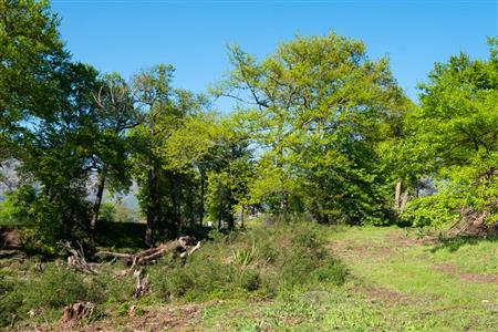 False - Farm For Sale in Stellenbosch Central, Stellenbosch, Western Cape - M15351