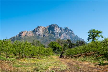 False - Farm For Sale in Stellenbosch Central, Stellenbosch, Western Cape - M15351
