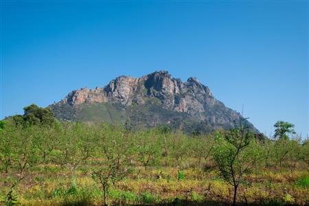 False - Farm For Sale in Stellenbosch Central, Stellenbosch, Western Cape - M15351