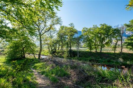 False - Farm For Sale in Stellenbosch Central, Stellenbosch, Western Cape - M15351