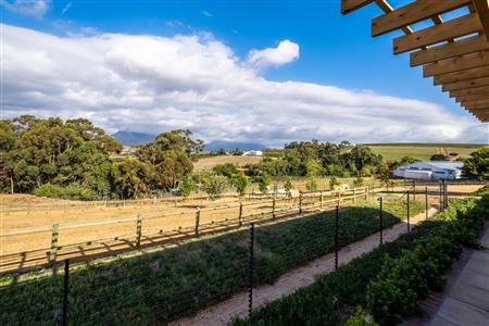 False - Farm For Sale in Stellenbosch Farms, Stellenbosch, Western Cape - M114415