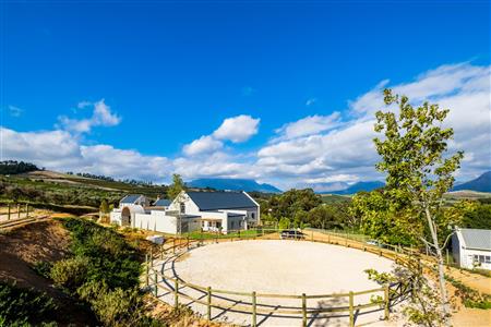 False - Farm For Sale in Stellenbosch Farms, Stellenbosch, Western Cape - M114415