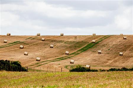 False - Farm For Sale in Albertinia, Western Cape - M116574