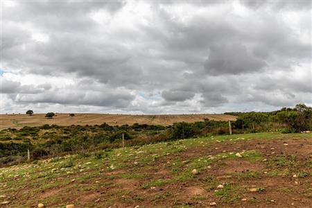 False - Farm For Sale in Albertinia, Western Cape - M116574