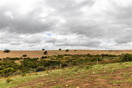 False - Farm For Sale in Albertinia, Western Cape - M116574
