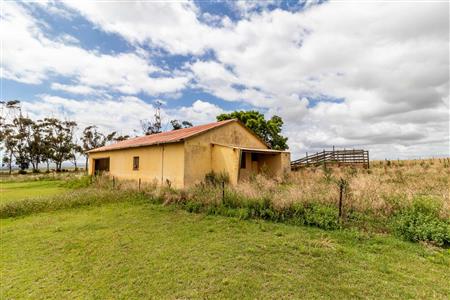 False - Farm For Sale in Albertinia, Western Cape - M116574