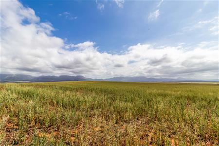 False - Farm For Sale in Albertinia, Western Cape - M116574