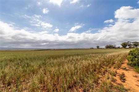 False - Farm For Sale in Albertinia, Western Cape - M116574