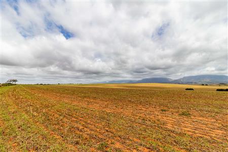 False - Farm For Sale in Albertinia, Western Cape - M116574