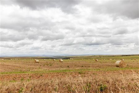 False - Farm For Sale in Albertinia, Western Cape - M116574