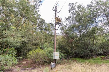False - Farm For Sale in Albertinia, Western Cape - M116574