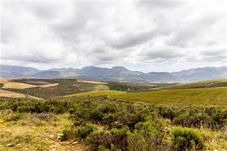 False - Farm For Sale in Albertinia, Western Cape - M116574