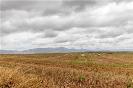 False - Farm For Sale in Albertinia, Western Cape - M116574