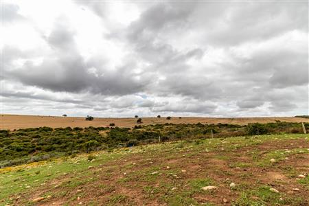 False - Farm For Sale in Albertinia, Western Cape - M116574