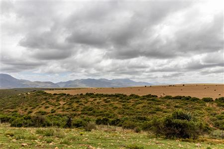 False - Farm For Sale in Albertinia, Western Cape - M116574