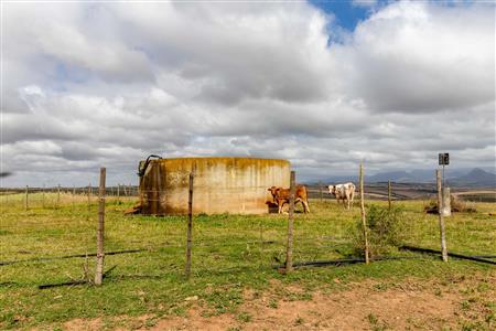 False - Farm For Sale in Albertinia, Western Cape - M116574