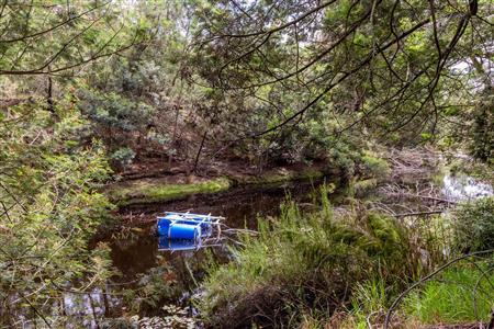 False - Farm For Sale in Albertinia, Western Cape - M116574