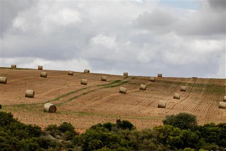 False - Farm For Sale in Albertinia, Western Cape - M116574