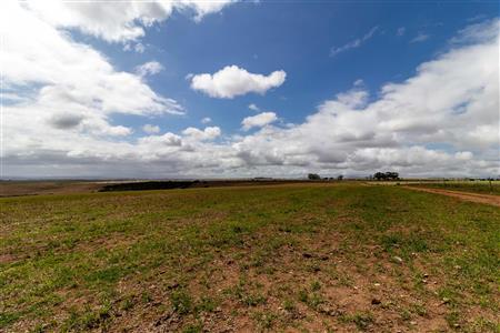 False - Farm For Sale in Albertinia, Western Cape - M116574