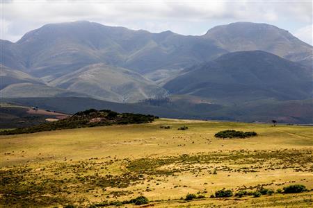 False - Farm For Sale in Albertinia, Western Cape - M116574