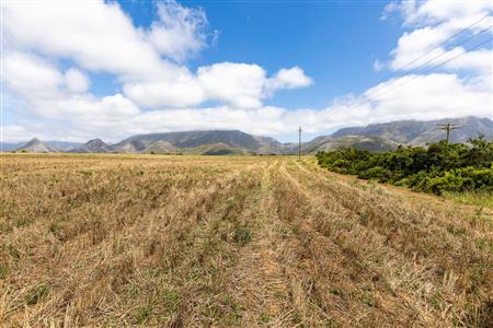 False - Farm For Sale in Albertinia, Western Cape - M116731