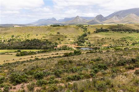 False - Farm For Sale in Albertinia, Western Cape - M116731