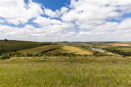 False - Farm For Sale in Albertinia, Western Cape - M116731