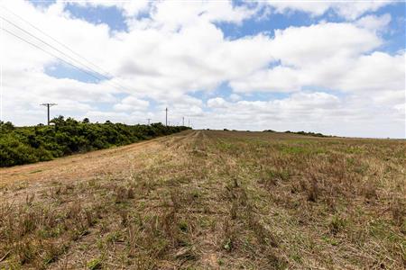False - Farm For Sale in Albertinia, Western Cape - M116731