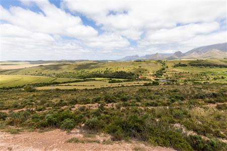False - Farm For Sale in Albertinia, Western Cape - M116731