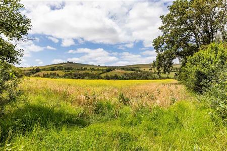 False - Farm For Sale in Albertinia, Western Cape - M116731