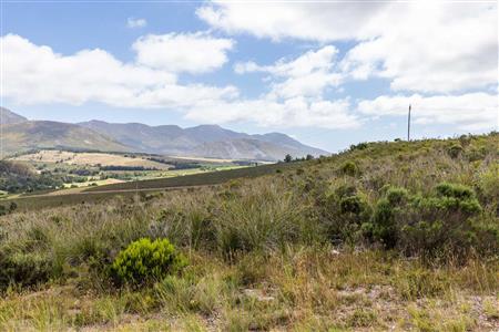 False - Farm For Sale in Albertinia, Western Cape - M116731
