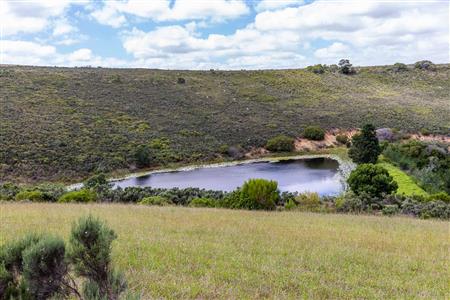False - Farm For Sale in Albertinia, Western Cape - M116731