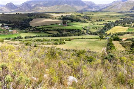False - Farm For Sale in Albertinia, Western Cape - M116731