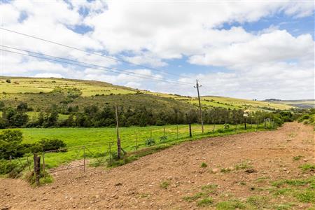 False - Farm For Sale in Albertinia, Western Cape - M116731