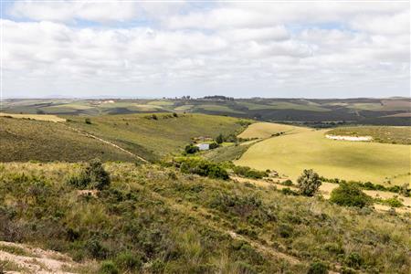 False - Farm For Sale in Albertinia, Western Cape - M116731