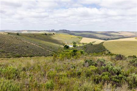 False - Farm For Sale in Albertinia, Western Cape - M116731