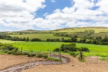 False - Farm For Sale in Albertinia, Western Cape - M116731