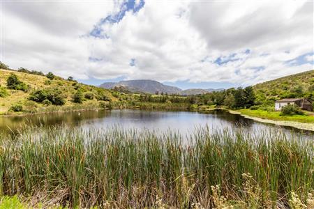 False - Farm For Sale in Albertinia, Western Cape - M116731