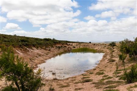 False - Farm For Sale in Albertinia, Western Cape - M116731