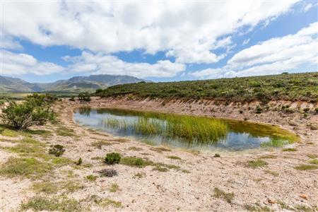False - Farm For Sale in Albertinia, Western Cape - M116731