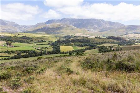 False - Farm For Sale in Albertinia, Western Cape - M116731
