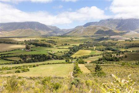False - Farm For Sale in Albertinia, Western Cape - M116731