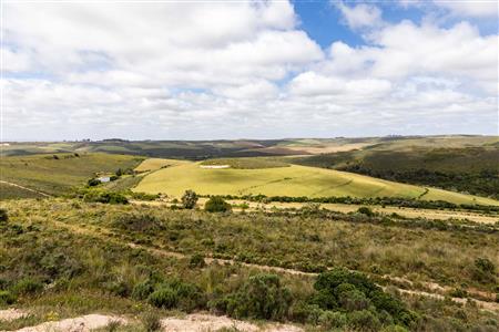 False - Farm For Sale in Albertinia, Western Cape - M116731