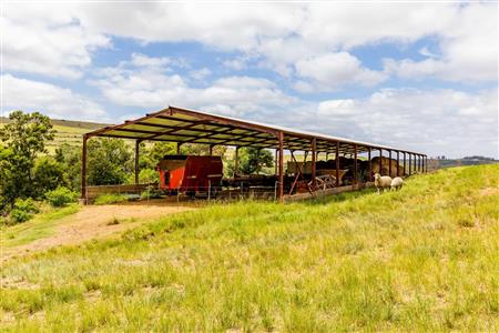 False - Farm For Sale in Albertinia, Western Cape - M116731