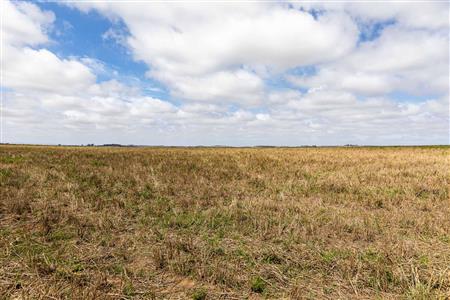 False - Farm For Sale in Albertinia, Western Cape - M116731