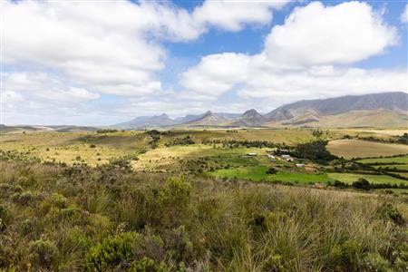 False - Farm For Sale in Albertinia, Western Cape - M116731