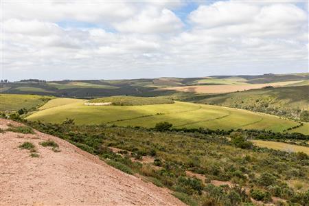 False - Farm For Sale in Albertinia, Western Cape - M116731